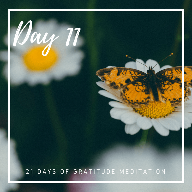 Gratitude Meditation, Day 11