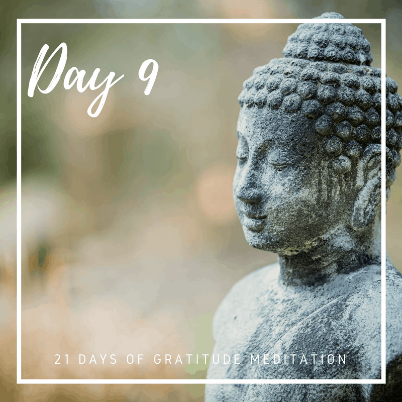 Gratitude Guided Meditation, Day 9