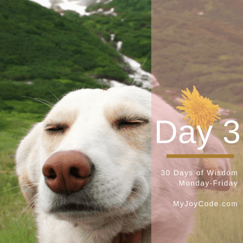 Healing Depression. It’s Day 3 of our 30 Days of Wisdom